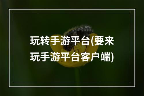 玩转手游平台(要来玩手游平台客户端)