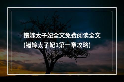 错嫁太子妃全文免费阅读全文(错嫁太子妃1第一章攻略)