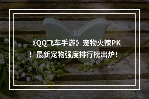 《QQ飞车手游》宠物火辣PK！最新宠物强度排行榜出炉！