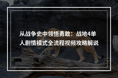 从战争史中领悟勇敢：战地4单人剧情模式全流程视频攻略解说