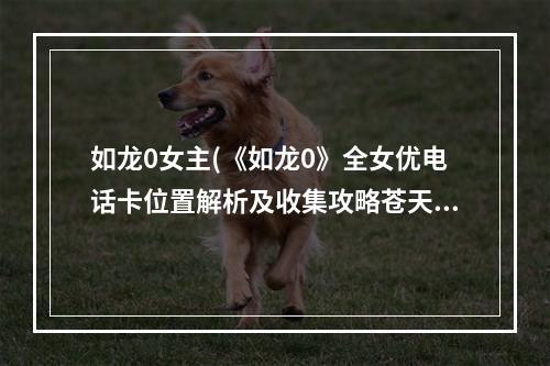 如龙0女主(《如龙0》全女优电话卡位置解析及收集攻略苍天堀真岛篇)